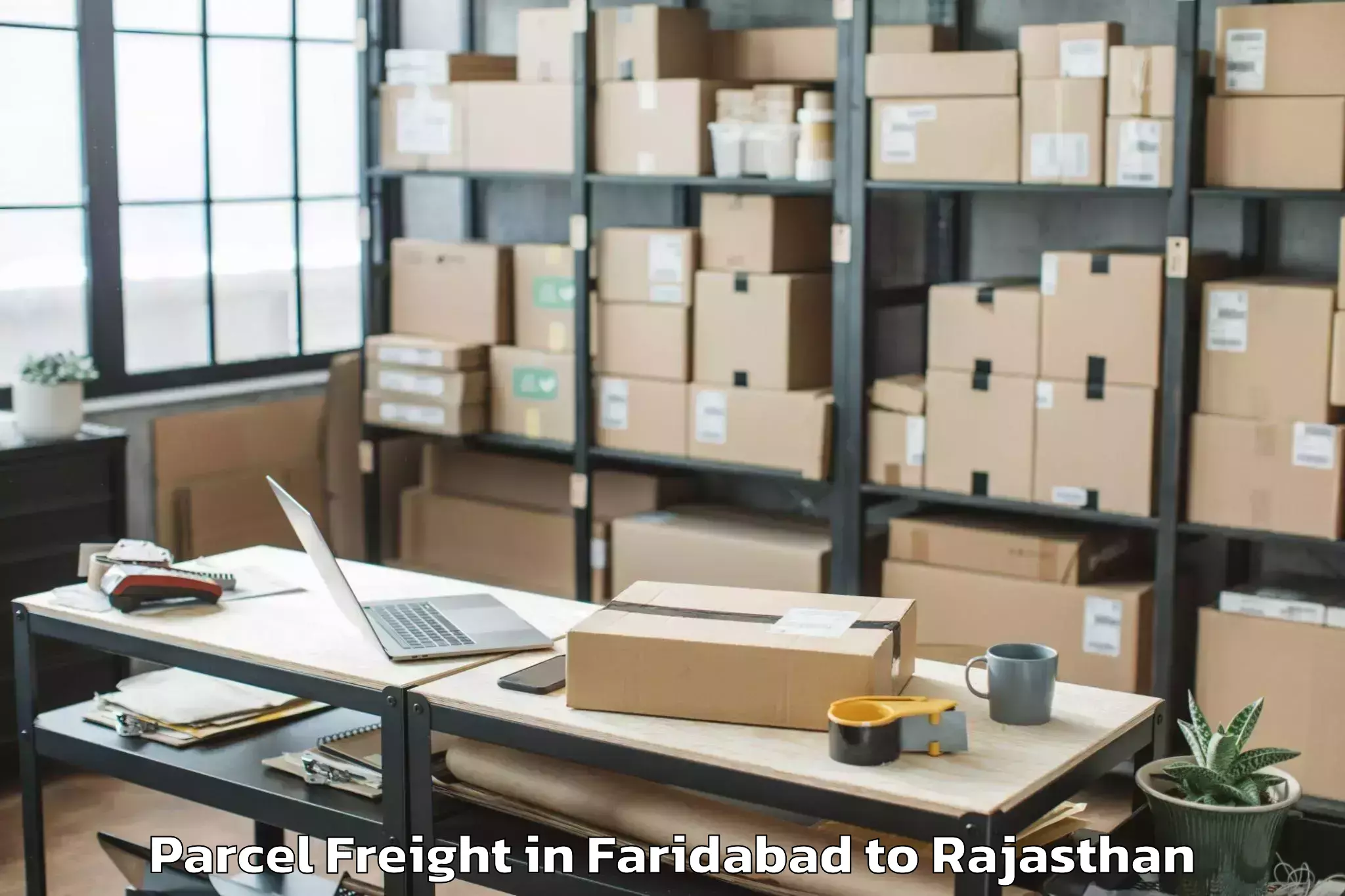 Book Your Faridabad to Dabok Airport Udr Parcel Freight Today